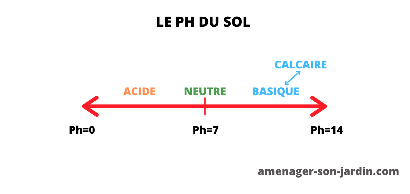 PH DU SOL : comment le connaître ? - Aménager Son Jardin