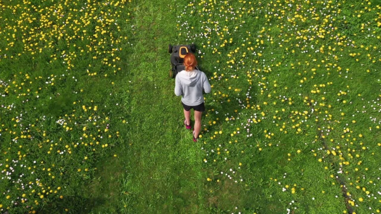 Que faire au jardin en mars / avril ? Aménager Son Jardin — free download
