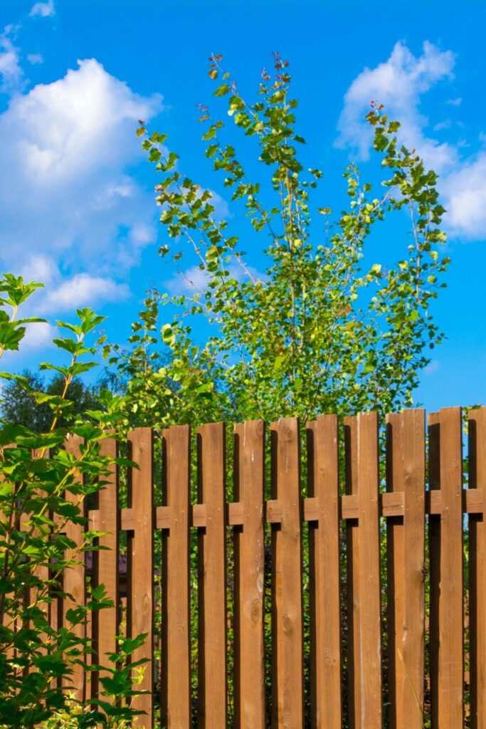 brise-vue en bois