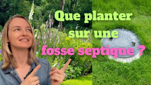 Que planter sur une fosse septique