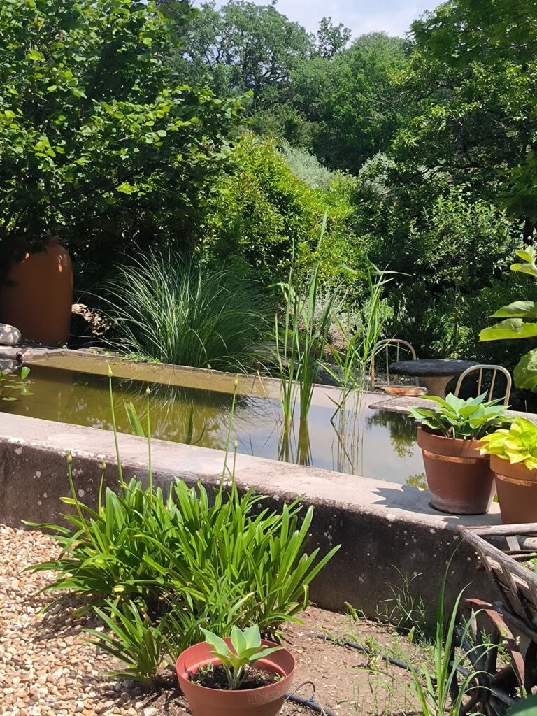Petit bassin entouré de plantes vertes et de pots dans un jardin.
