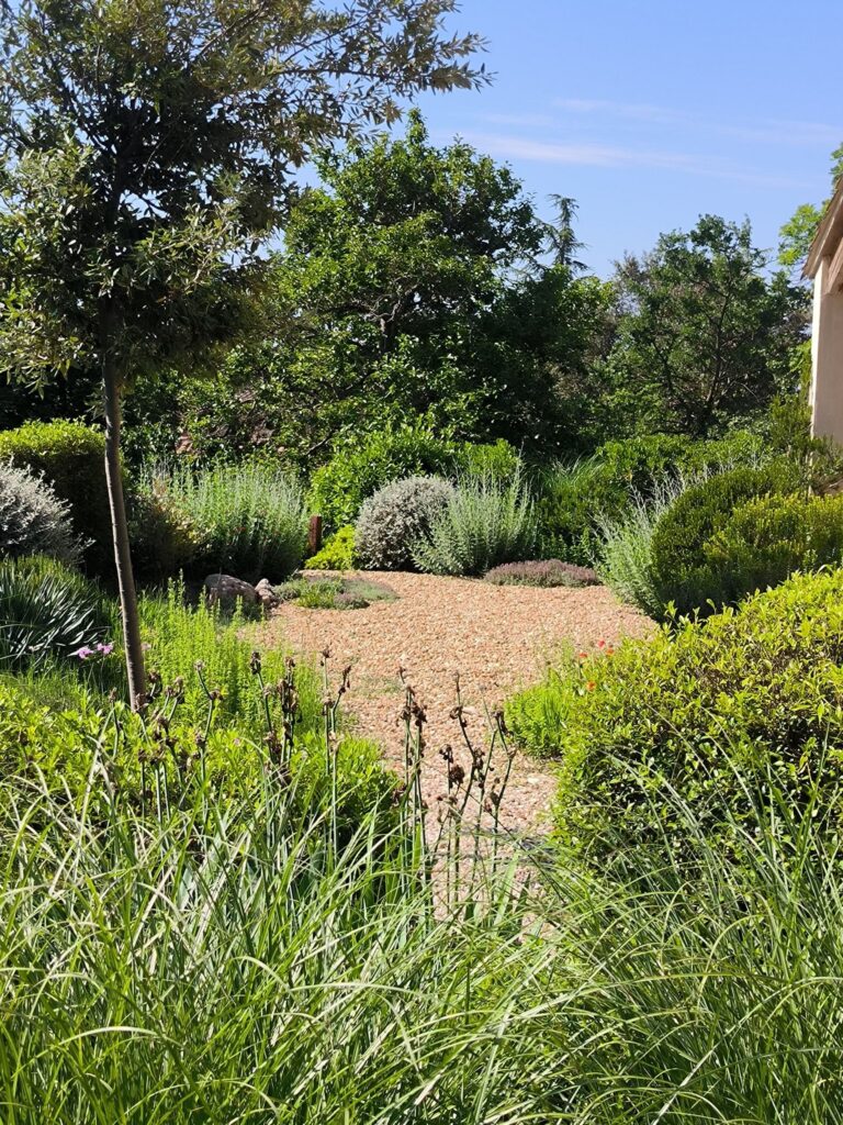 Jardin sec avec graviers et plantes résistantes à la sécheresse.