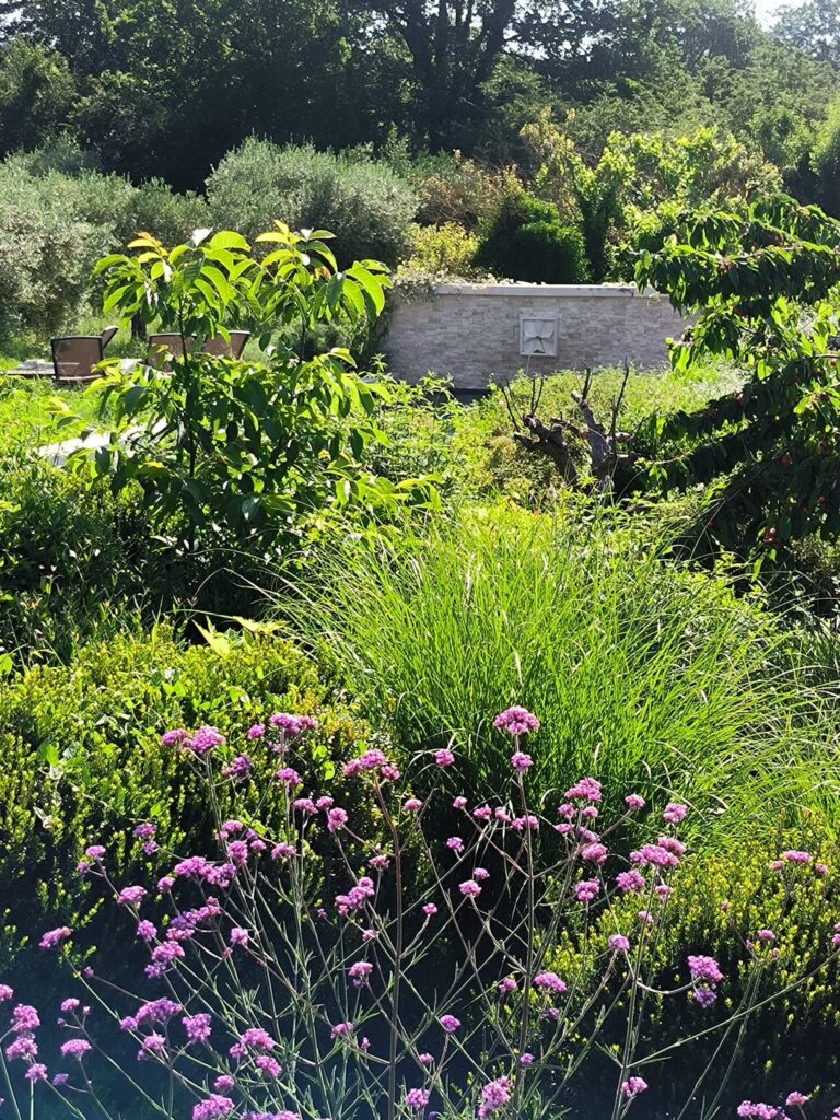Jardin sec fleuri avec abreuvoir en pierre