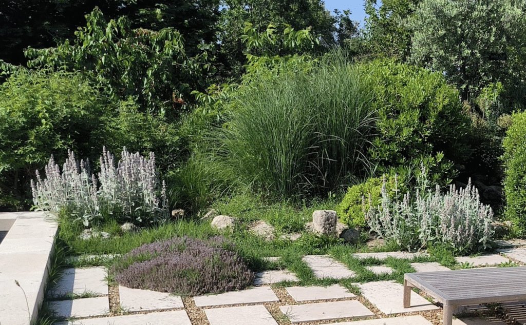 Terrasse minérale entourée de plantes résistantes à la sécheresse