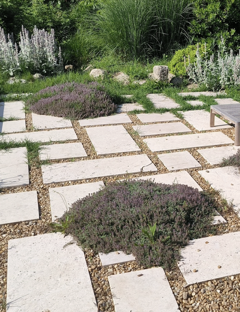 Dallage avec plantes et graviers.