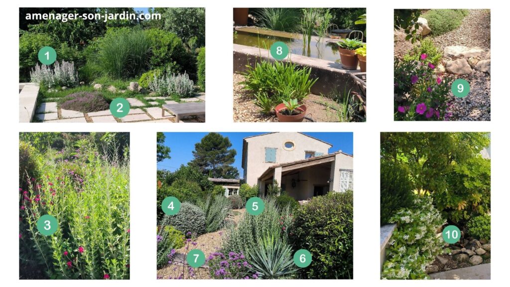 Collage photo jarin sec