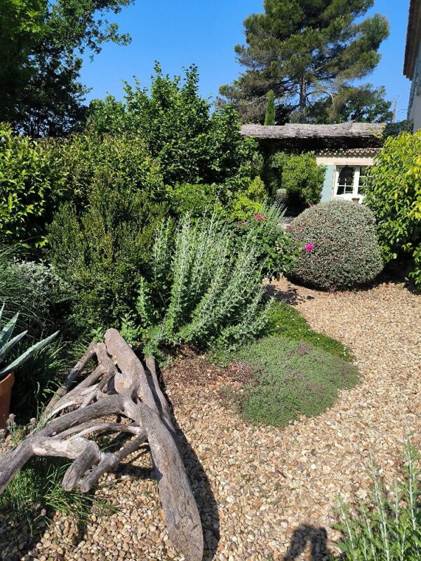 Un jardin sec composé de plantes résistantes à la sécheresse et de graviers au sol