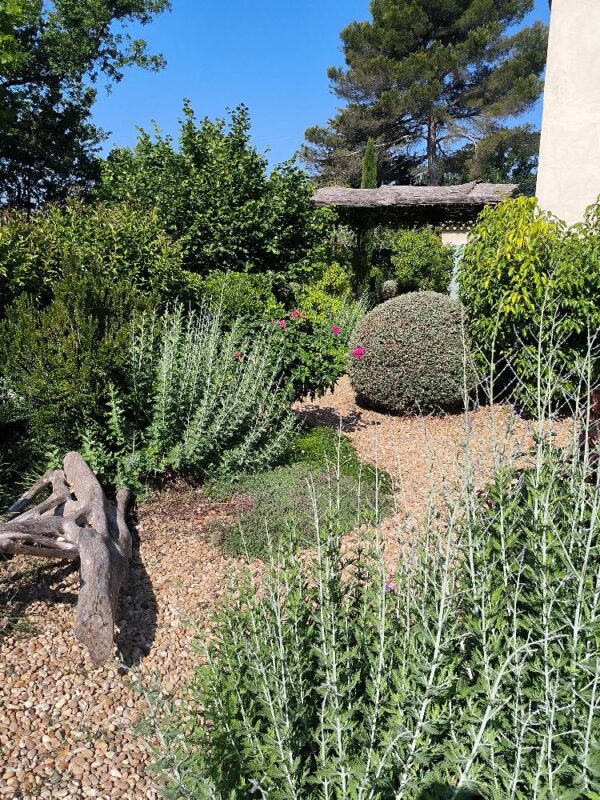 Un jardin à graviers avexc des plantes résistantes à la sécheresse