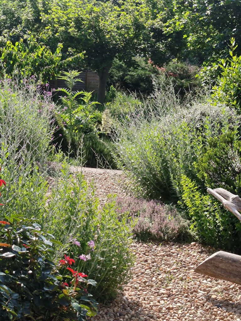 Un jardin sec où des plantes bordent un chemin de gravier