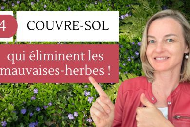 4 couvre-sol qui eliminent les mauvaise- herbes !