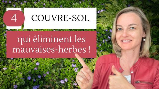 4 couvre-sol qui eliminent les mauvaise- herbes !