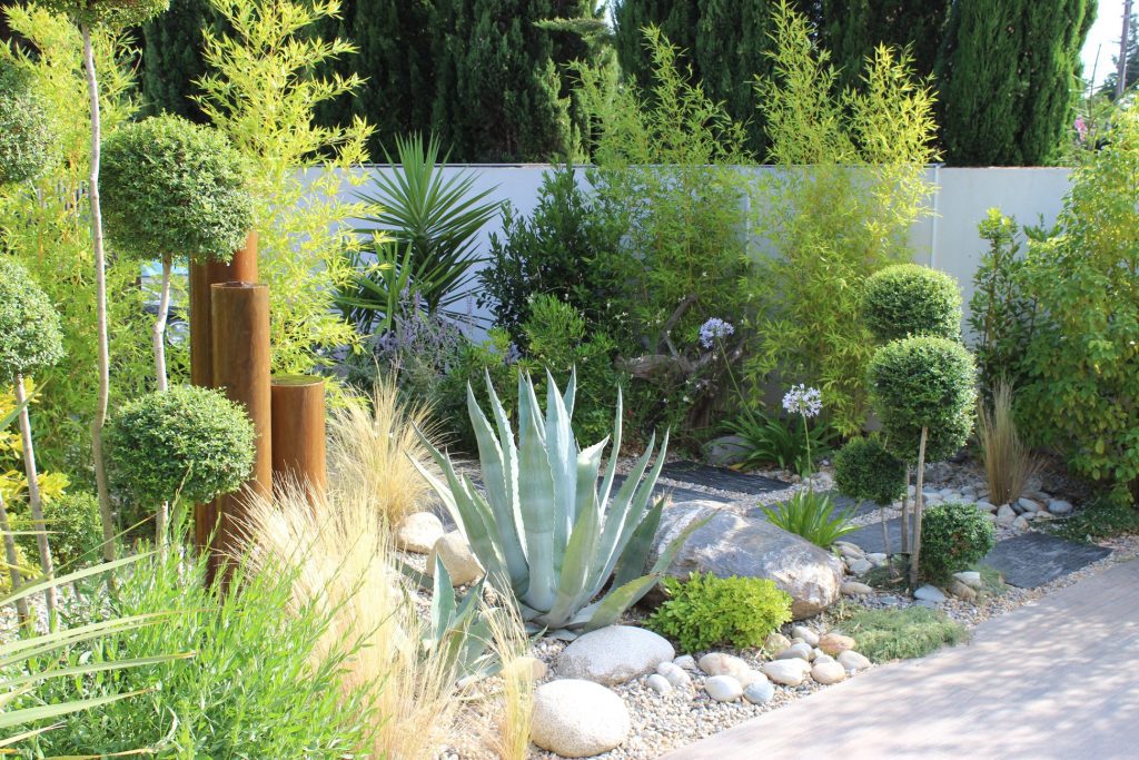Jardin sec avec plantes et agaves résistantes au soleil