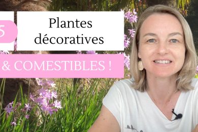 5 Plantes Décoratives & Cosmétibles