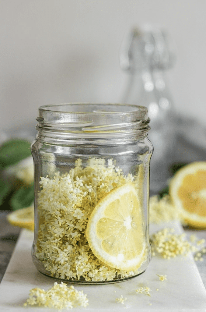 Plantes décoratives comestibles fleurs de sureau et citron dans un bocal en verre