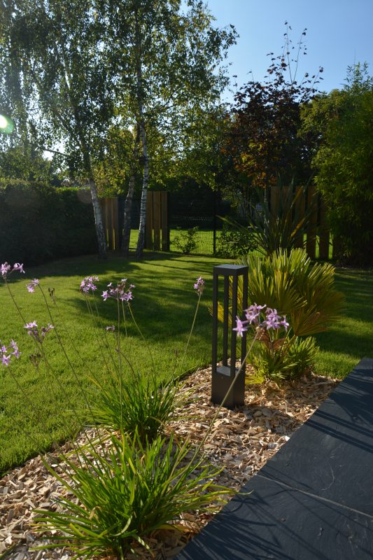 Jardin extérieur avec plantes décoratives comestibles et pelouse verte