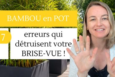 Bambou en pot 7 erreurs qui détruisent votre brise-vue !