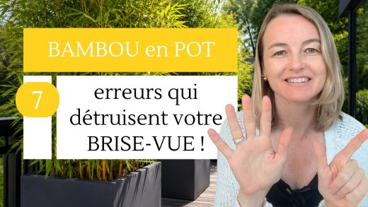 Bambou en pot 7 erreurs qui détruisent votre brise-vue !