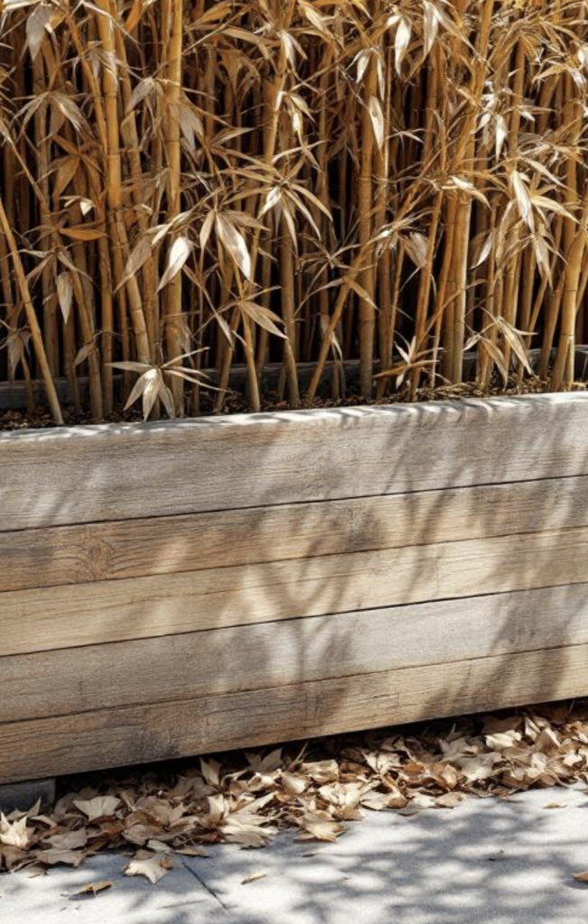 Bambou séchés dans bac en bois