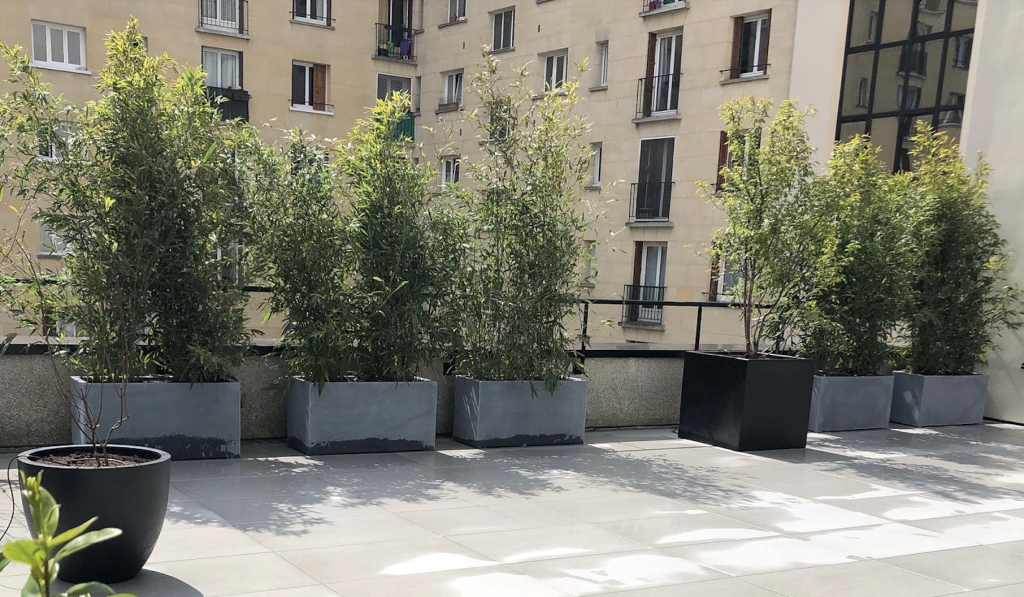 Grande terrasse avec bambou et vue sur immeubles