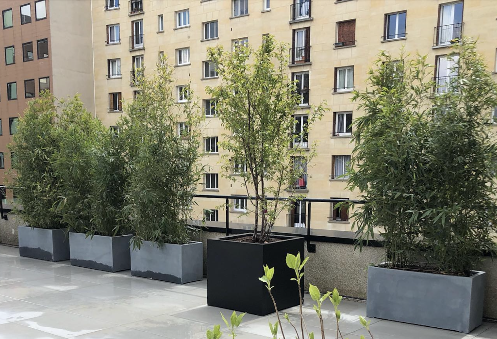 Grande terrasse avec bambou et vue sur immeubles