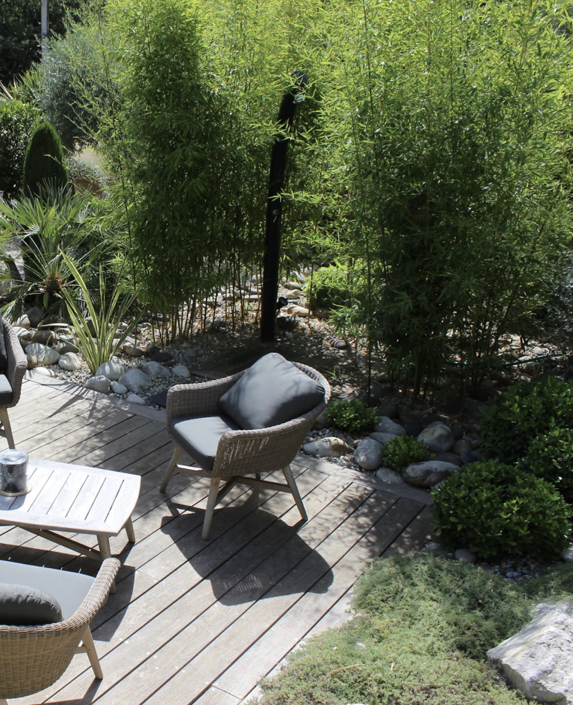 Espace zen avec haie de bambou en pot