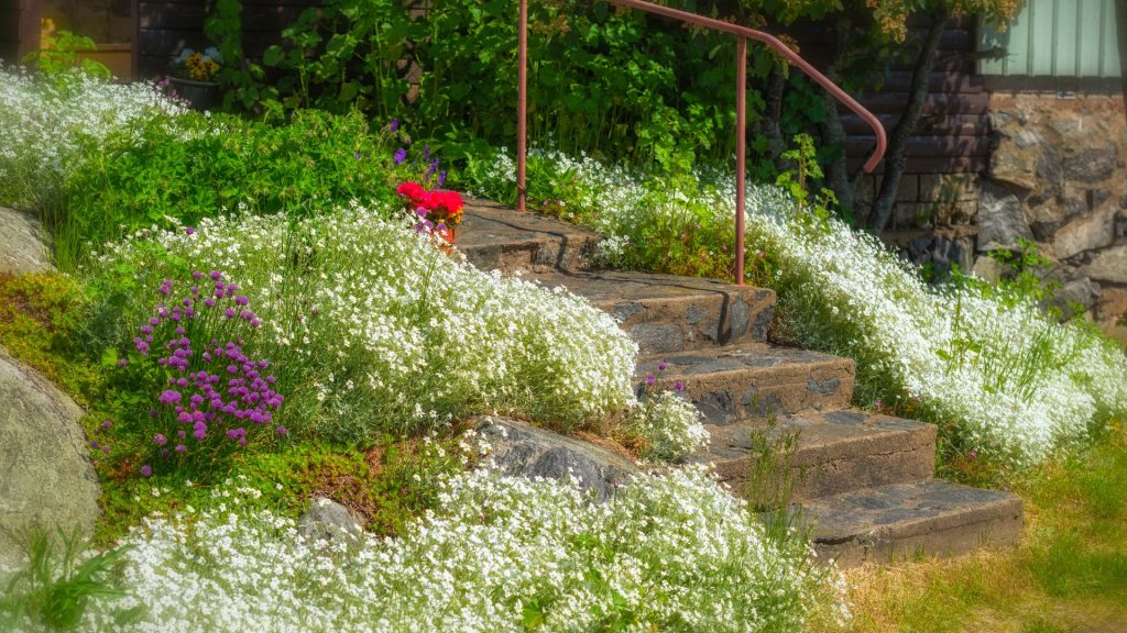 Jardin méditerannéenne avec des plantes résistantes au gel