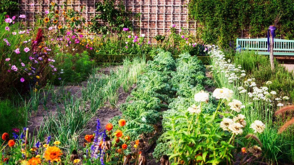 Potager fleuri avec rangées de légumes et de fleurs