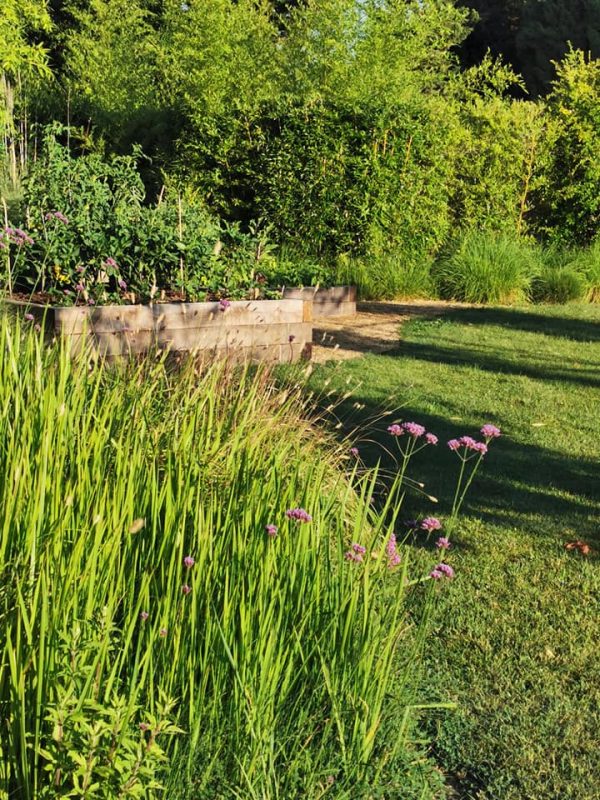 Potager en carrés dans le jardin