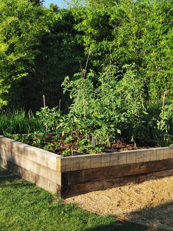 Potager en carrés dans le jardin