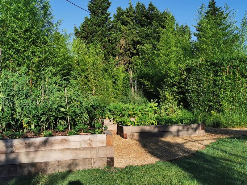 Potager en carrés dans le jardin