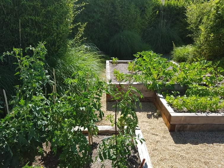 Potager en carrés dans le jardin