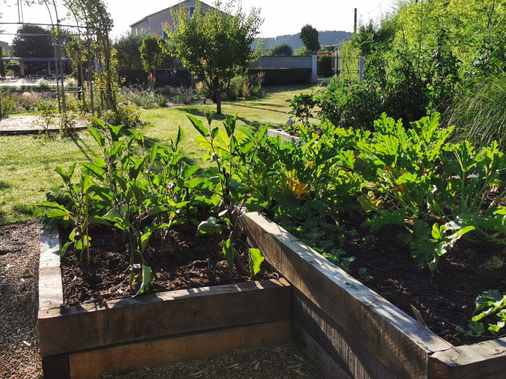 Potager en carrés dans le jardin