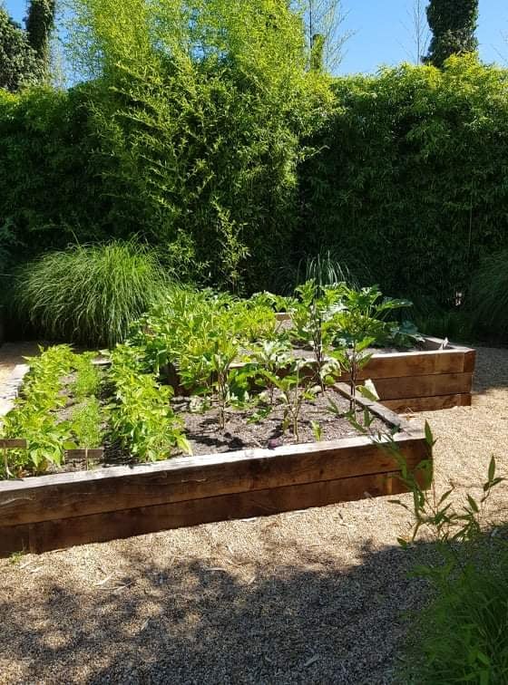 Potager en carrés dans le jardin