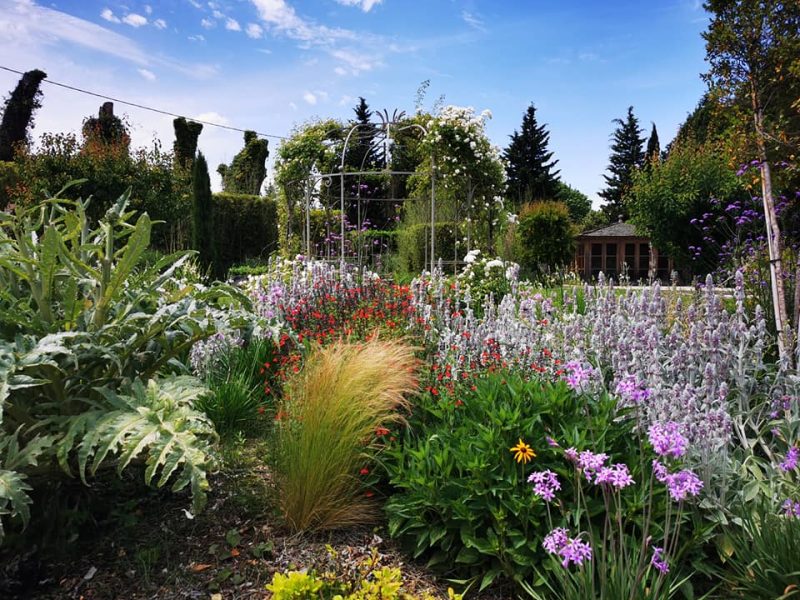 Jardin fleuri sous un ciel bleu.