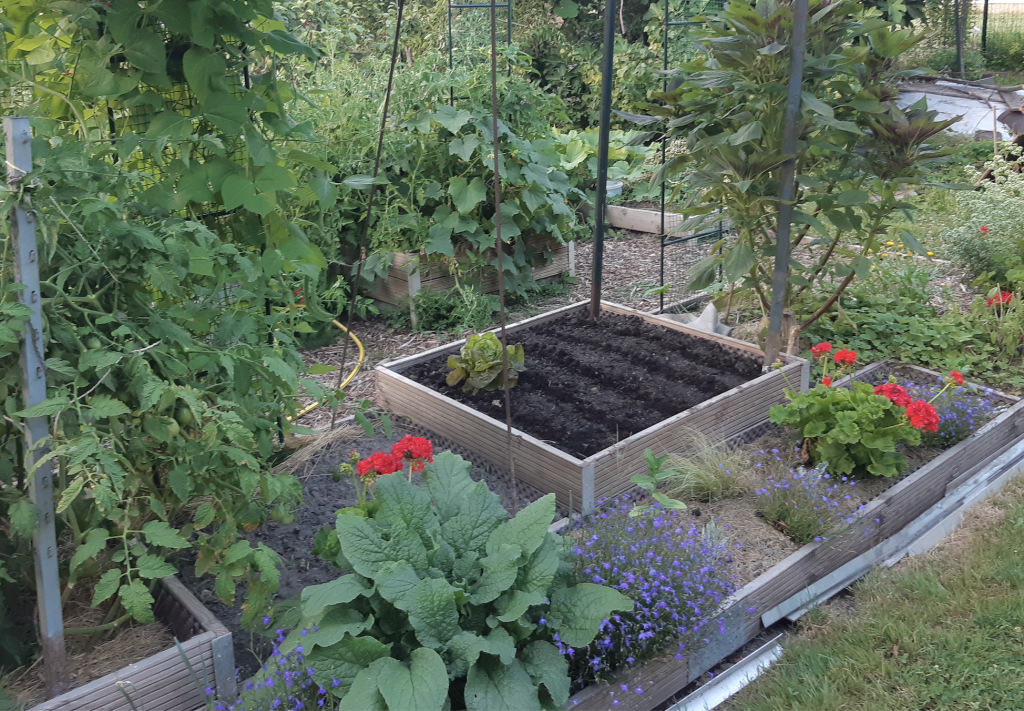 Potager en carrés contemporain.