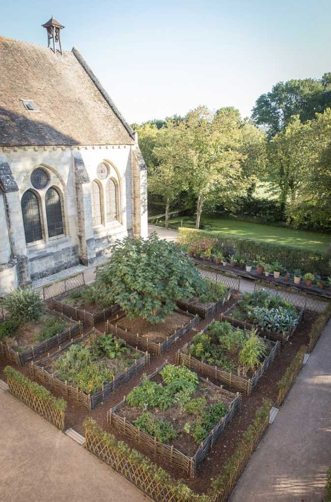 potager avec des carrés en bois alignés près d'une habitation