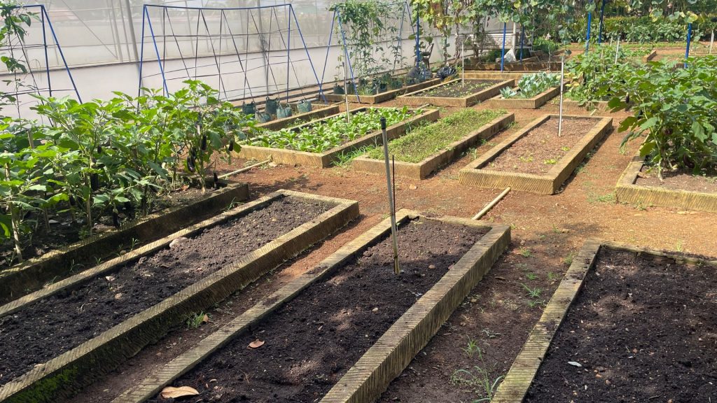 Potager avec serre