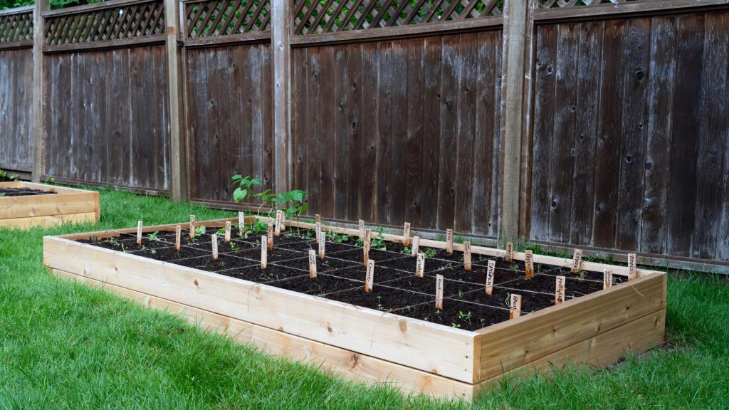 Potager en carrés sur une pelouse