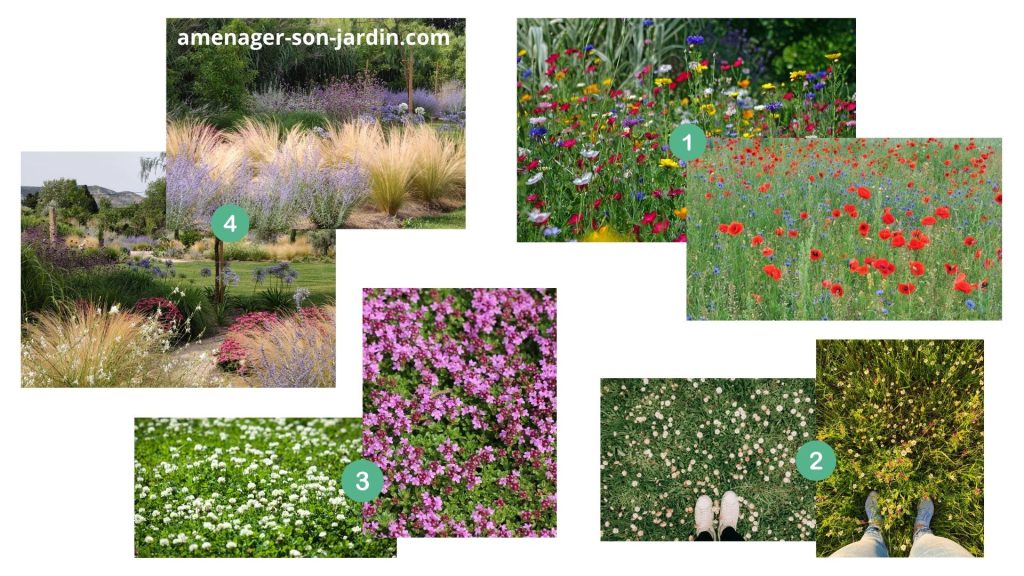 Plusieurs jardins fleuris en collage