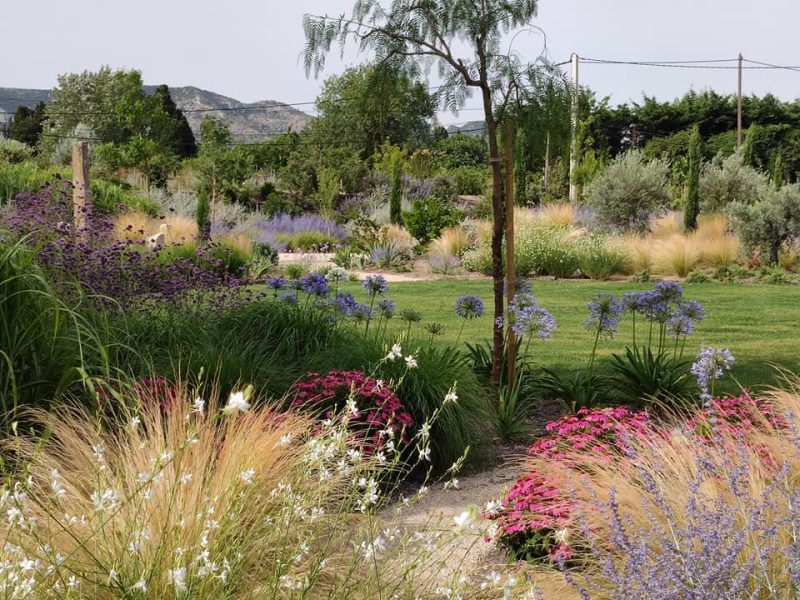 Un jardin calme et fleuri