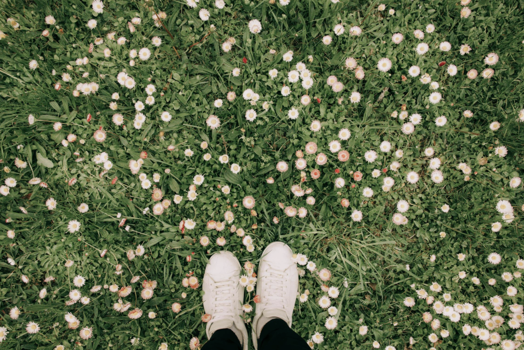 Des pieds dans les fleurs blanches