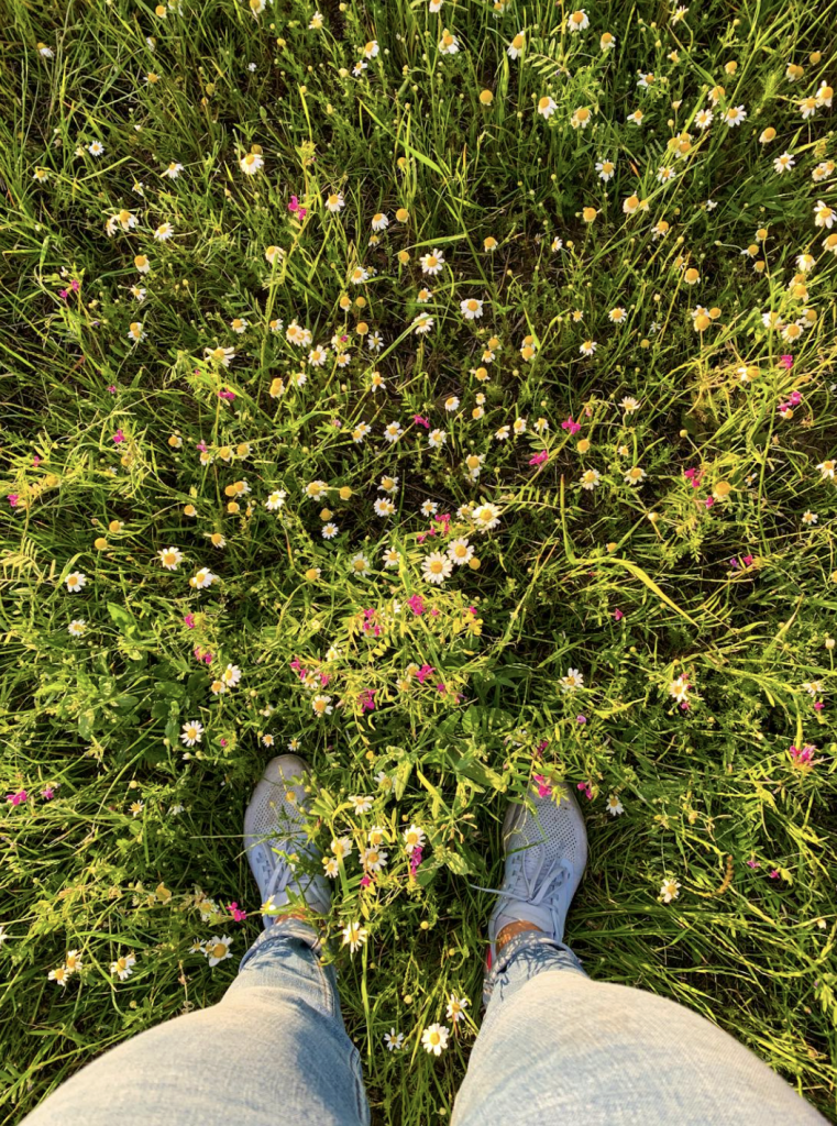 Des pieds dans un pré fleuri