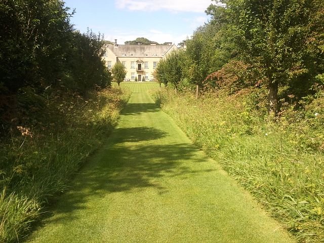 Chemin vert fleuri sauvage