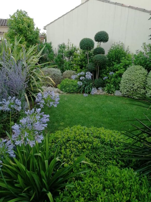 Jardin avec topiaires et pelouse devant un mur 