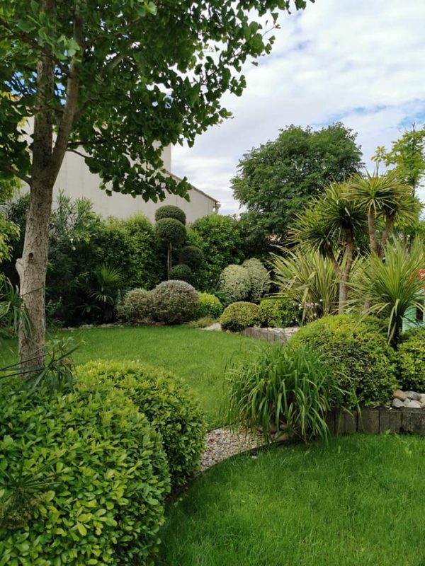 Mur de jardin caché par un arbre et des buissons