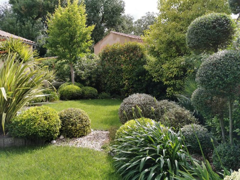 Jardin avec topiaires et pelouse devant un mur