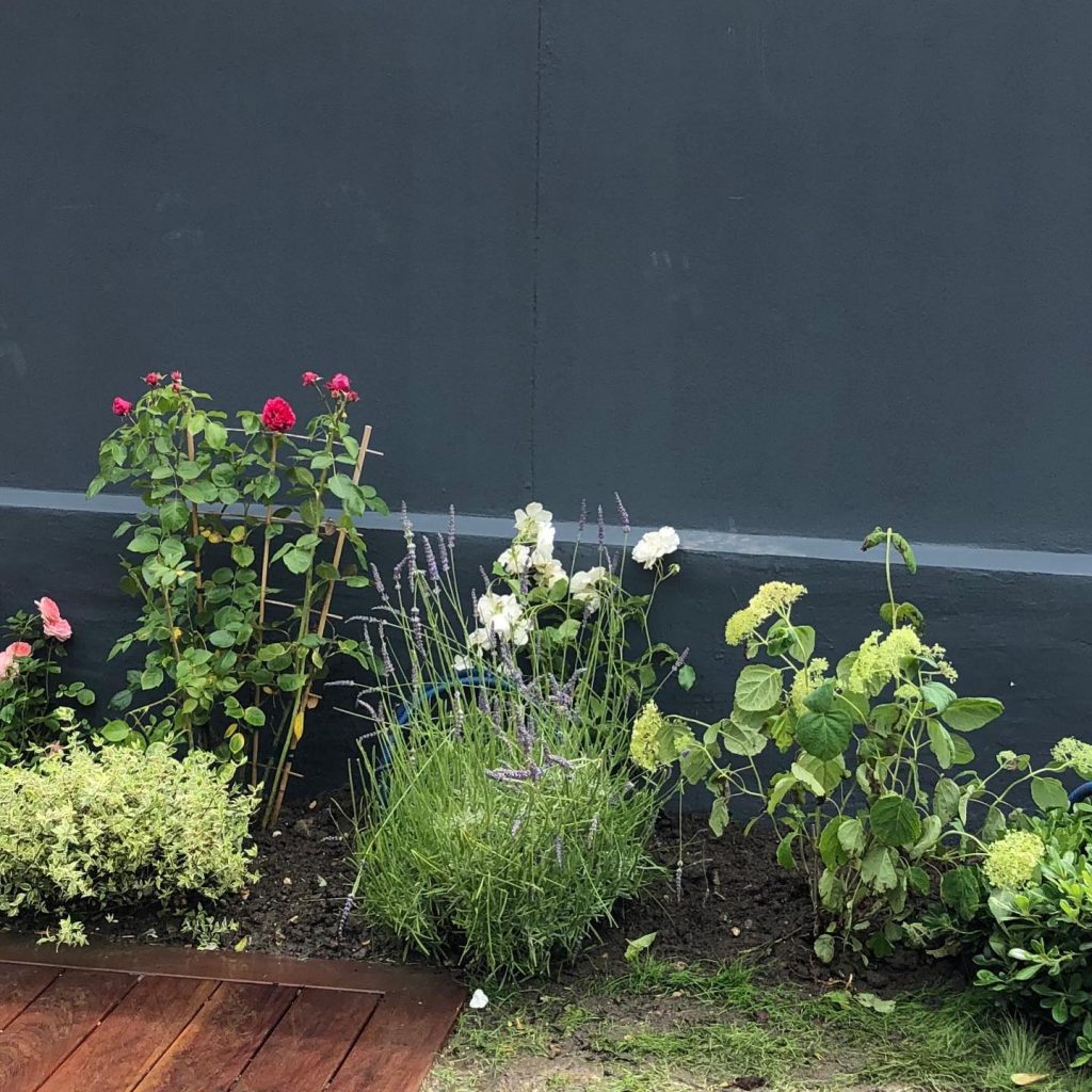 Mur sombre avec massif fleuri 