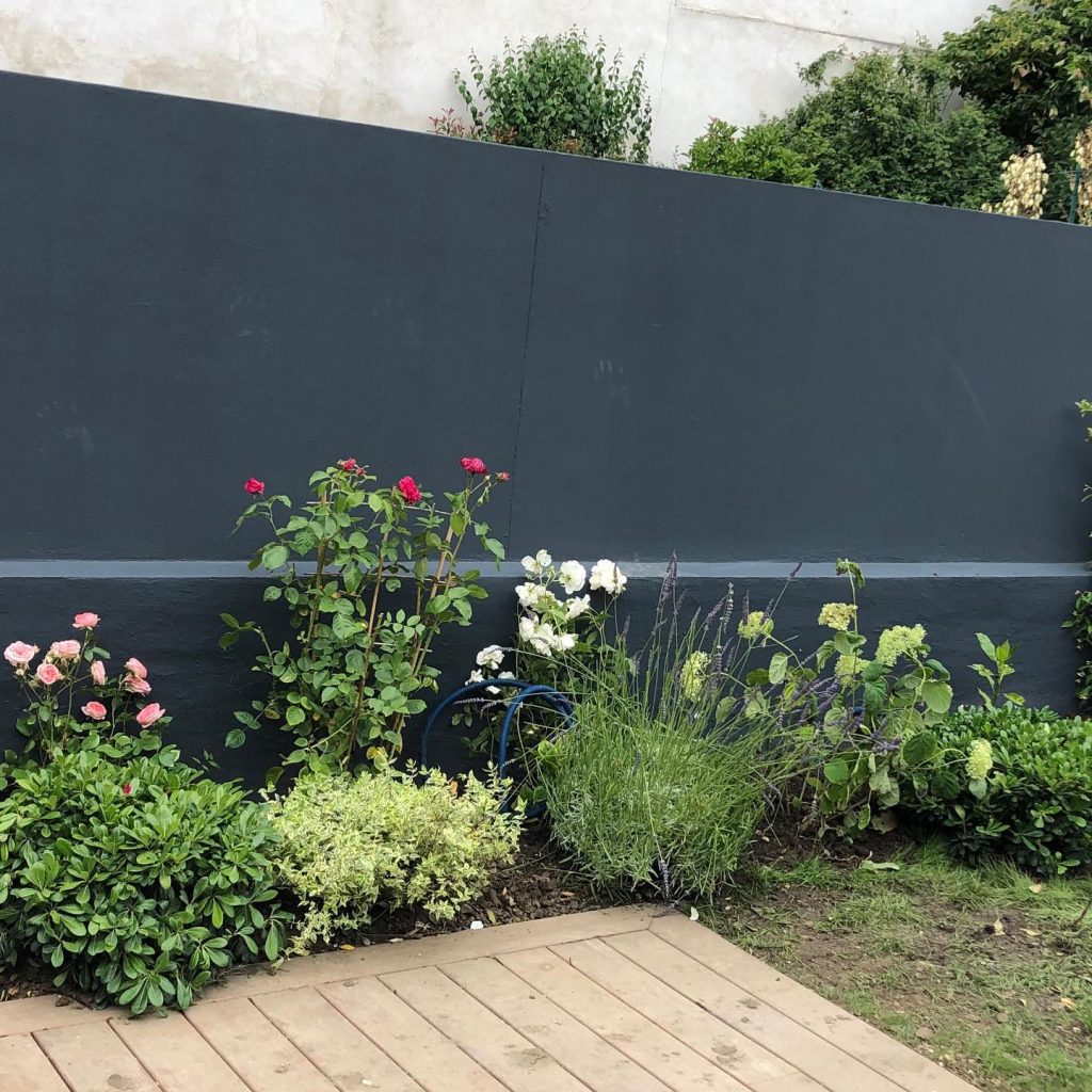 Mur sombre avec massif fleuri 