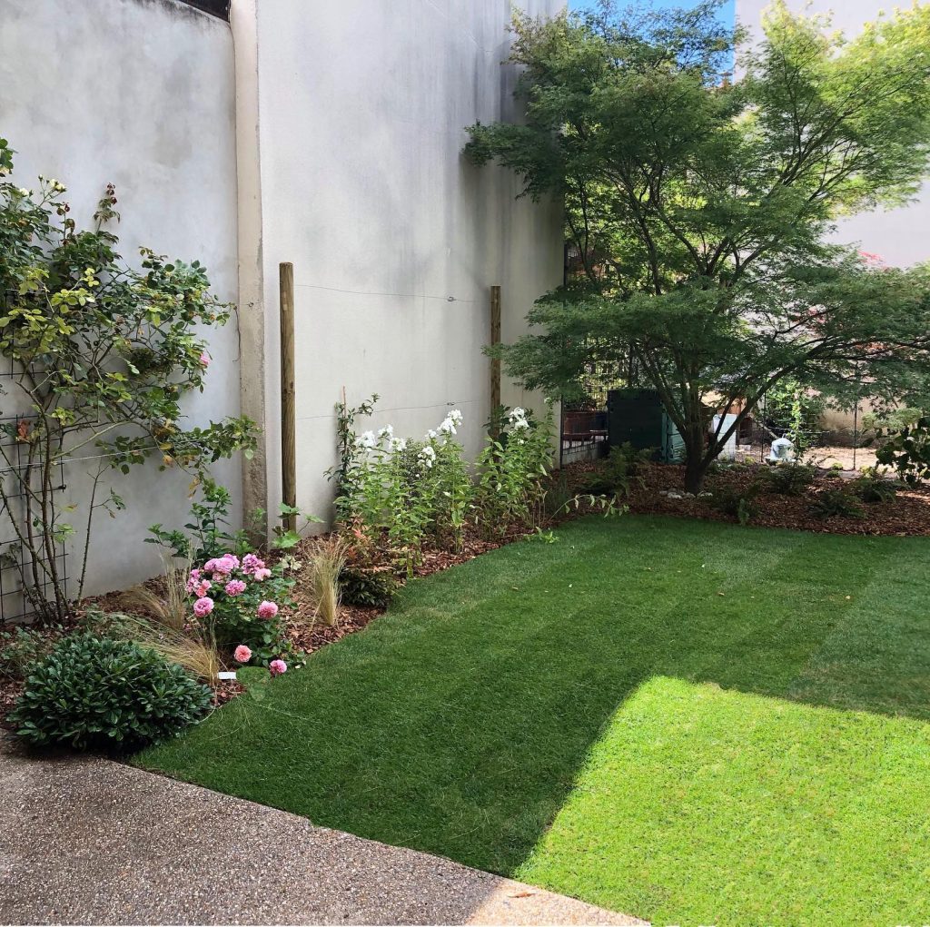 Petit jardin avec pelouse et arbres devant un mur