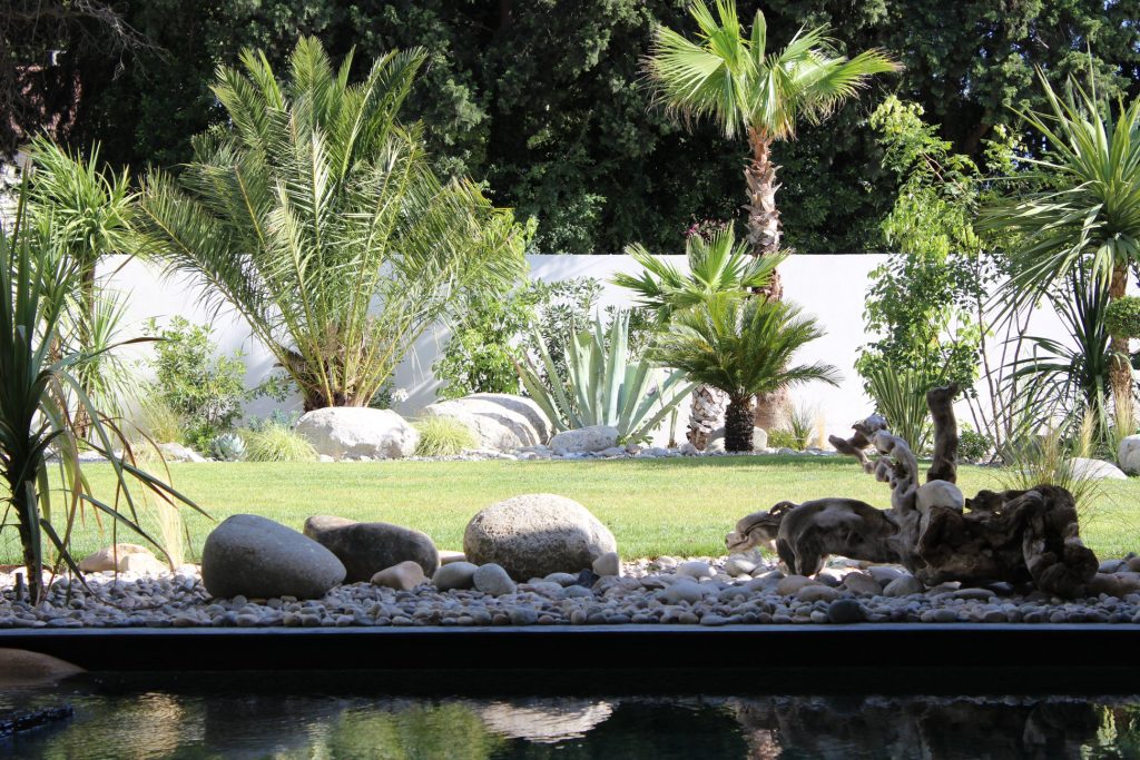 Jardin exotique avec palmiers et rochers devant un mur 